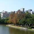 2024.內湖(大湖公園....)