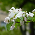 2019.04.24-25佐嘉神社散策