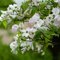 2019.04.24-25佐嘉神社散策