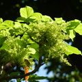 2020.2月.植物園