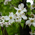 2019.04.24-25佐嘉神社散策