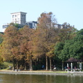 2024.內湖(大湖公園....)