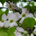 2019.04.24-25佐嘉神社散策