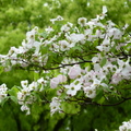 2019.04.24-25佐嘉神社散策