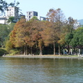 2024.內湖(大湖公園....)