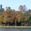 2024.內湖(大湖公園....)