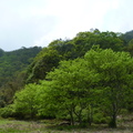 2016福山植物園