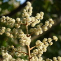 2024.01-03月.植物園