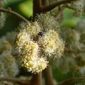 2024.01-03月.植物園