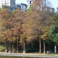 2024.內湖(大湖公園....)