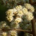 2024.01-03月.植物園