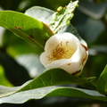 2014陽明山國家公園