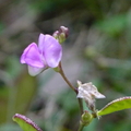 2024.01-03月.植物園