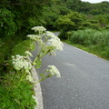 2014陽明山國家公園