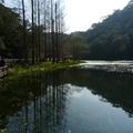 2015福山植物園