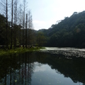 2015福山植物園
