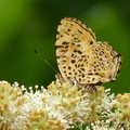 2014福山植物園