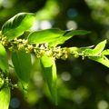 2020.09月-植物園