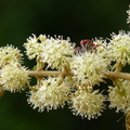 2014福山植物園