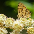 2014福山植物園