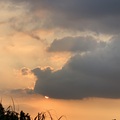 2026.07-09月.手機拍攝