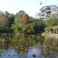 2024.01-03月.植物園