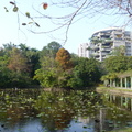 2024.01-03月.植物園