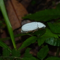 2014陽明山國家公園