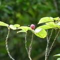 2014陽明山國家公園