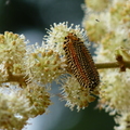 2014福山植物園