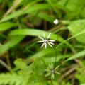 2014陽明山國家公園