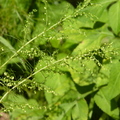 2020.09月-植物園