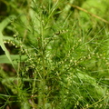 2020.09月-植物園