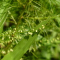 2020.09月-植物園