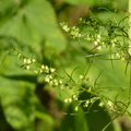 2020.09月-植物園