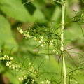 2020.09月-植物園