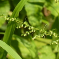 2020.09月-植物園