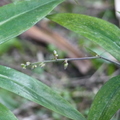 2021.09.03植物園