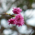 2014陽明山國家公園