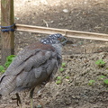 2023.03-06月.植物園