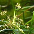 2020.09月-植物園