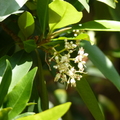 2020.09月-植物園