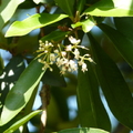 2020.09月-植物園