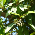 2020.09月-植物園