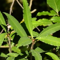 2018植物園