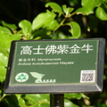 2018植物園
