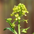 2012.03.23植物園