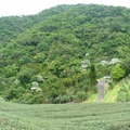 石碇永安村步道