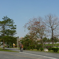 2019陽光公園
