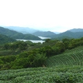 石碇永安村步道